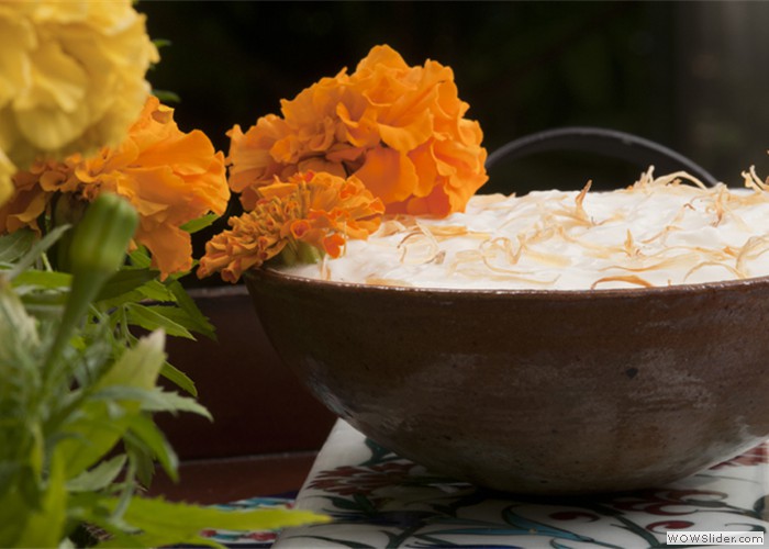 Marigold & Honey Yogurt Appetizer or Hors D’Oeuvre